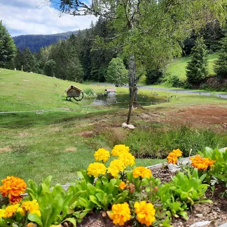 Elisa Horská chata *