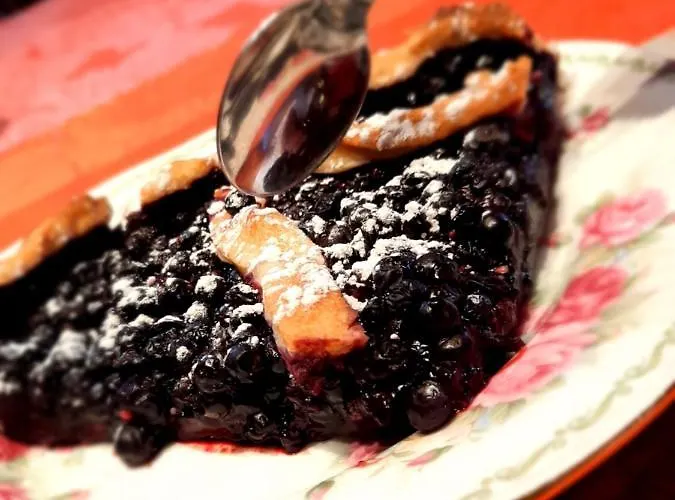 Domek alpejski Elisa *