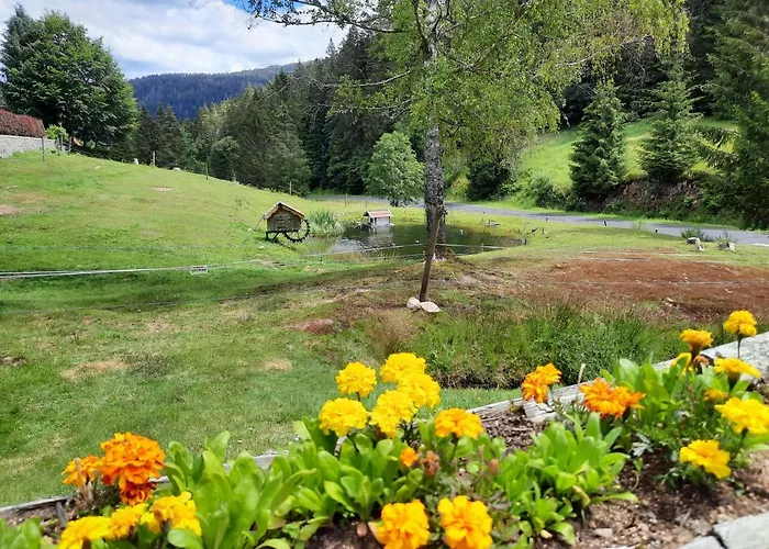 Elisa Domek alpejski *